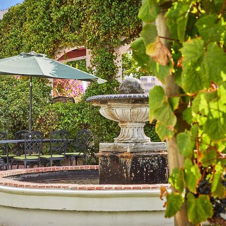 Deux Freres Wine Estate & Luxury Villas Стелленбос Екстер'єр фото