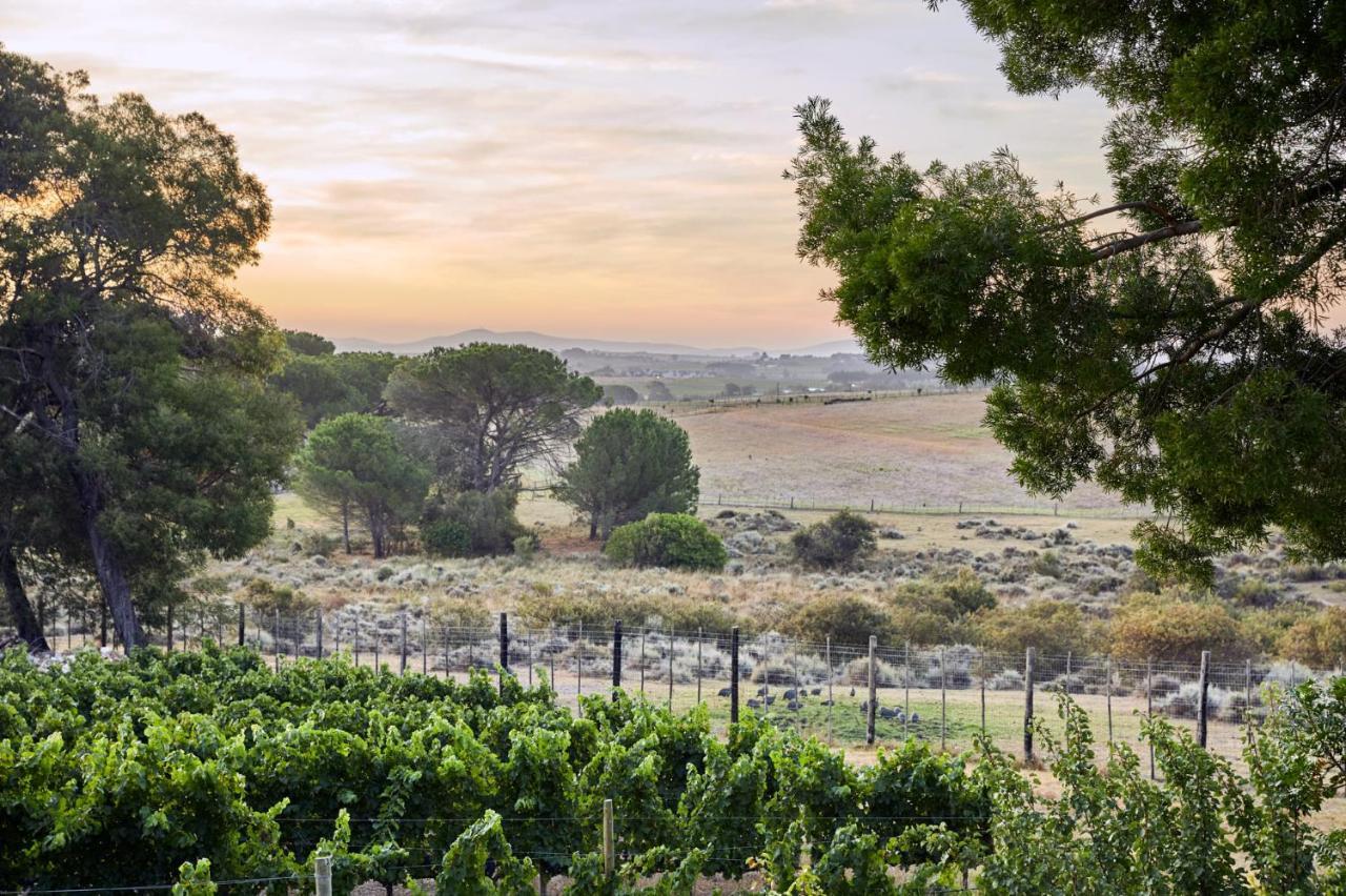 Deux Freres Wine Estate & Luxury Villas Стелленбос Екстер'єр фото