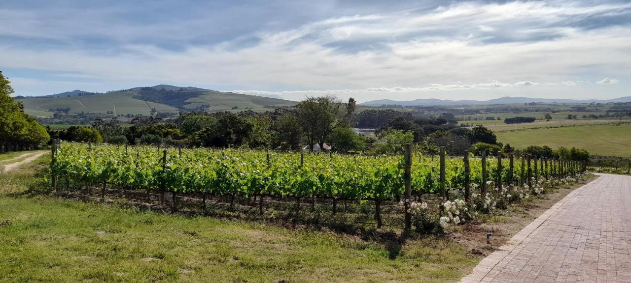 Deux Freres Wine Estate & Luxury Villas Стелленбос Екстер'єр фото