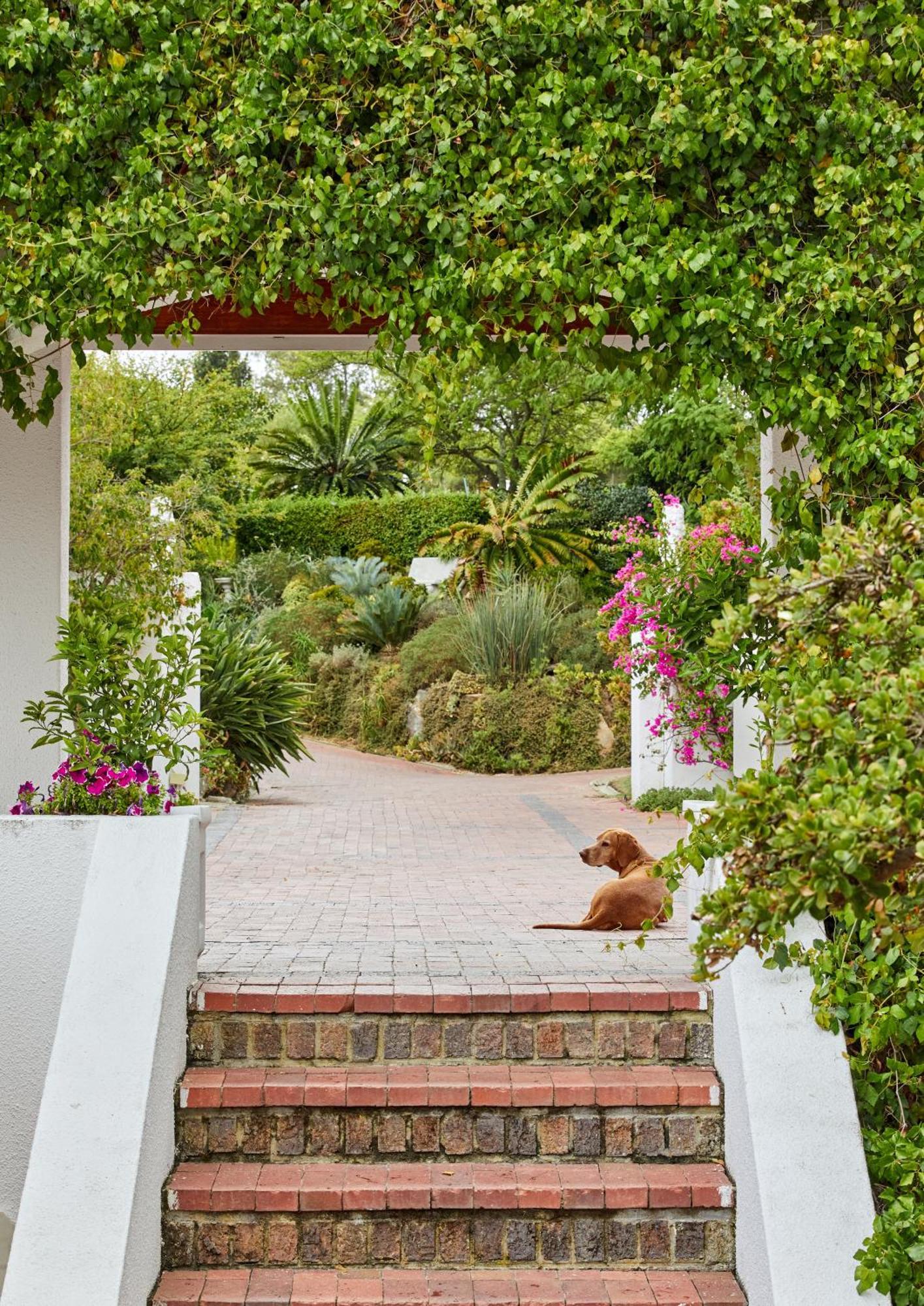 Deux Freres Wine Estate & Luxury Villas Стелленбос Екстер'єр фото